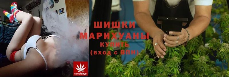 блэк спрут вход  Вилючинск  Марихуана Bruce Banner  где купить  